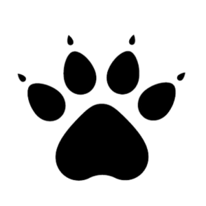 Менеджер <br>Kelme